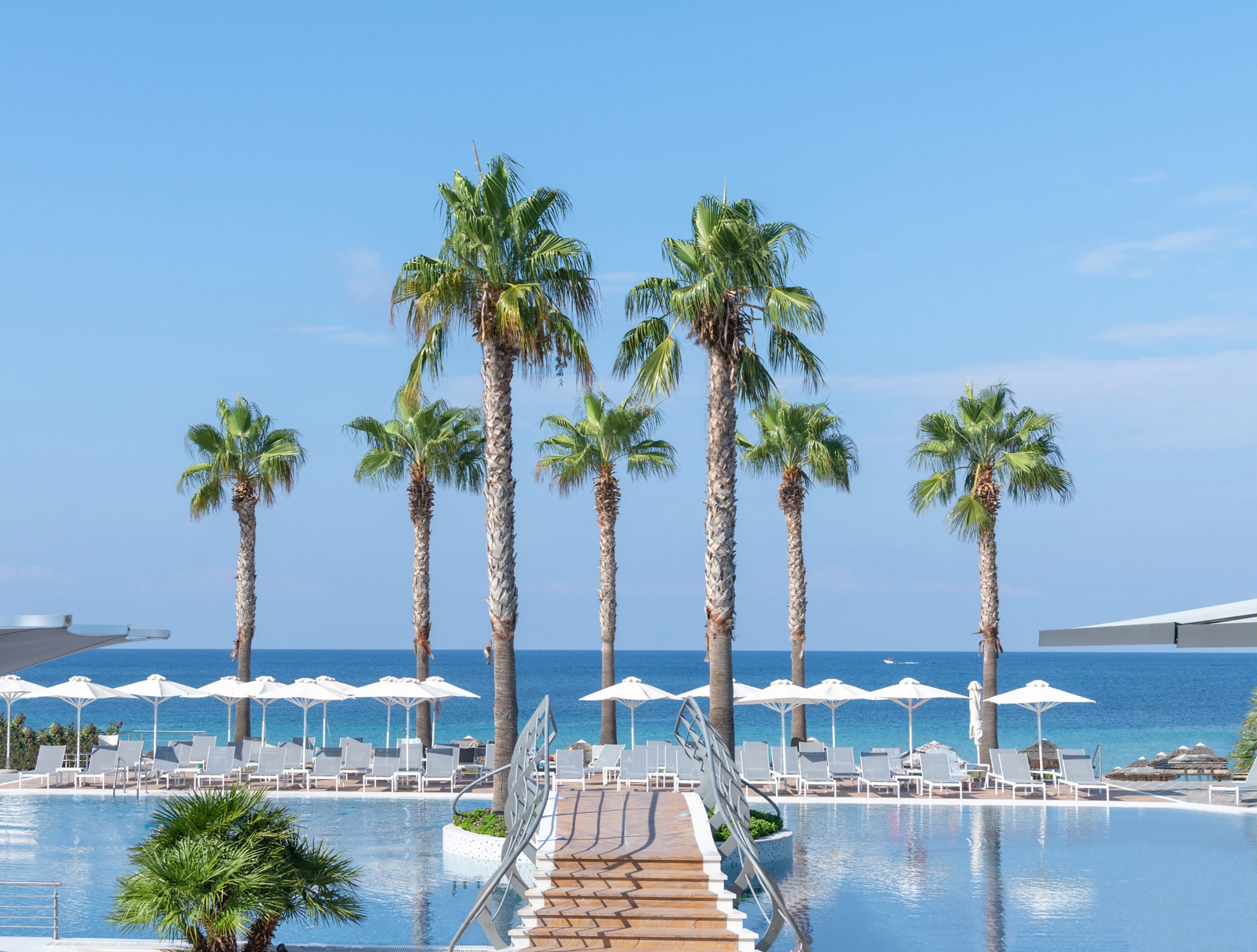 Swimming Pool View